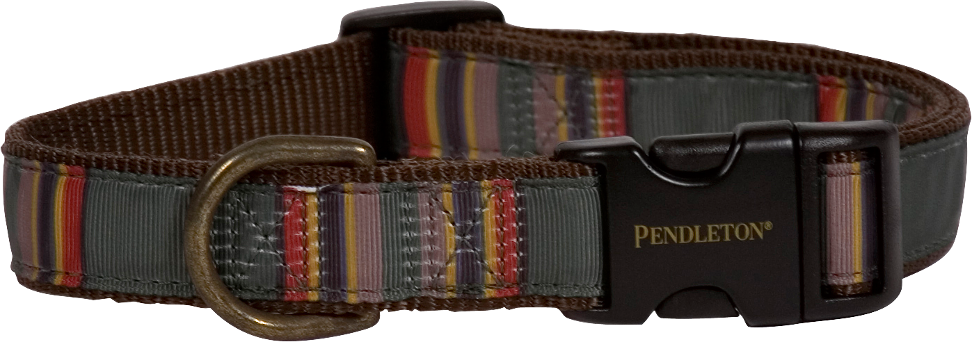 Pendleton Yakima Camp Hiker Dog Collars Cabela's